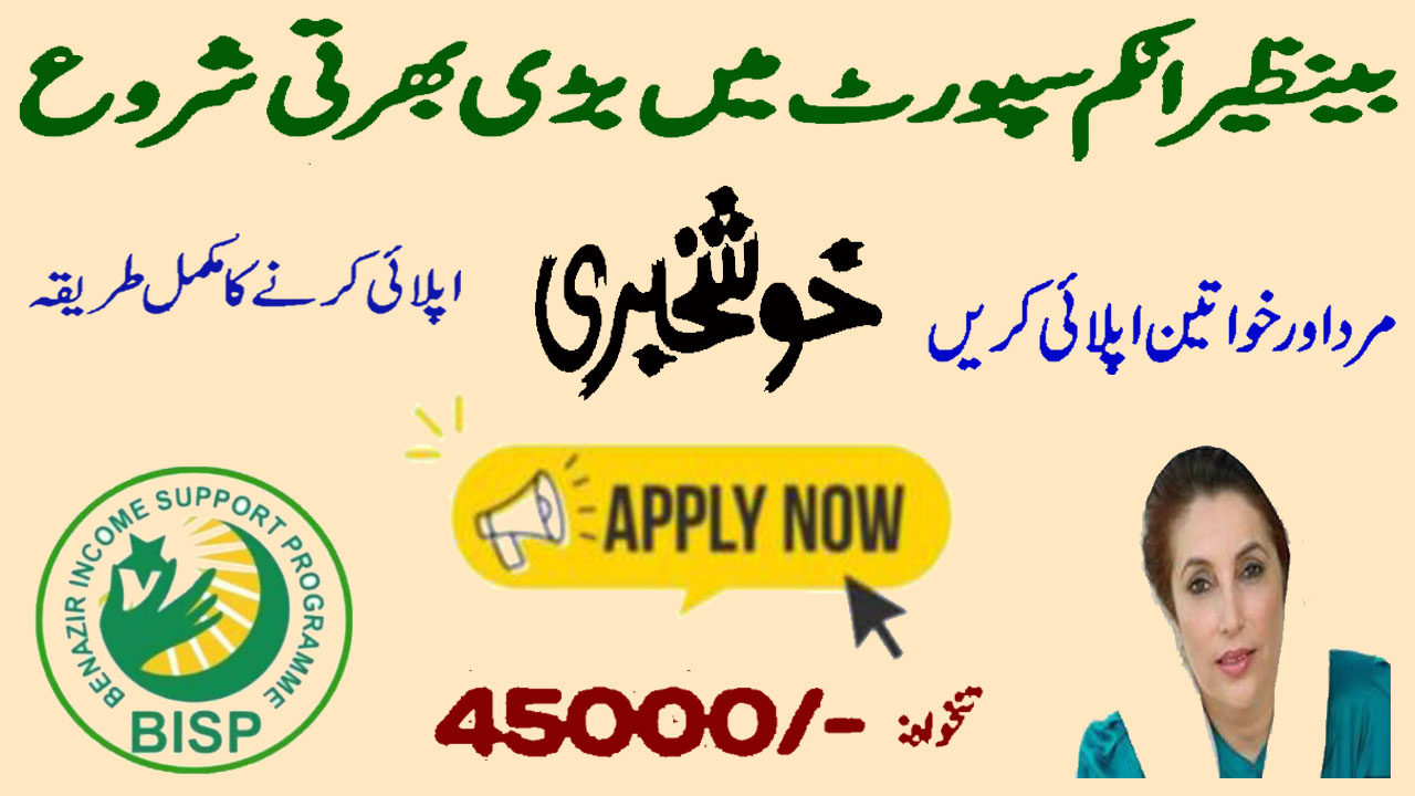 Benazir Income Support Program Jobs | BISP Jobs Application Form 2025